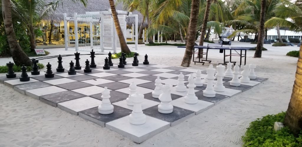 チェスができる！