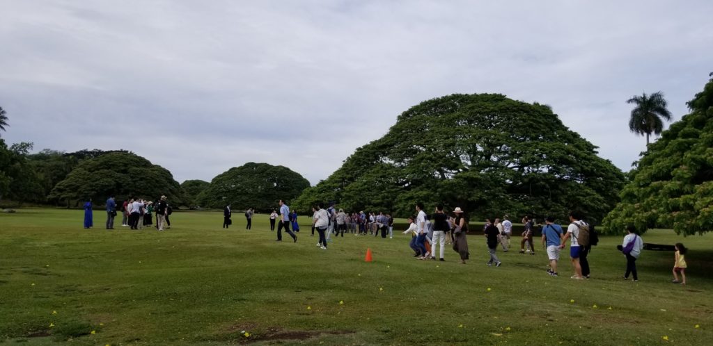 この木なんの木を観光するのは日本人だけ