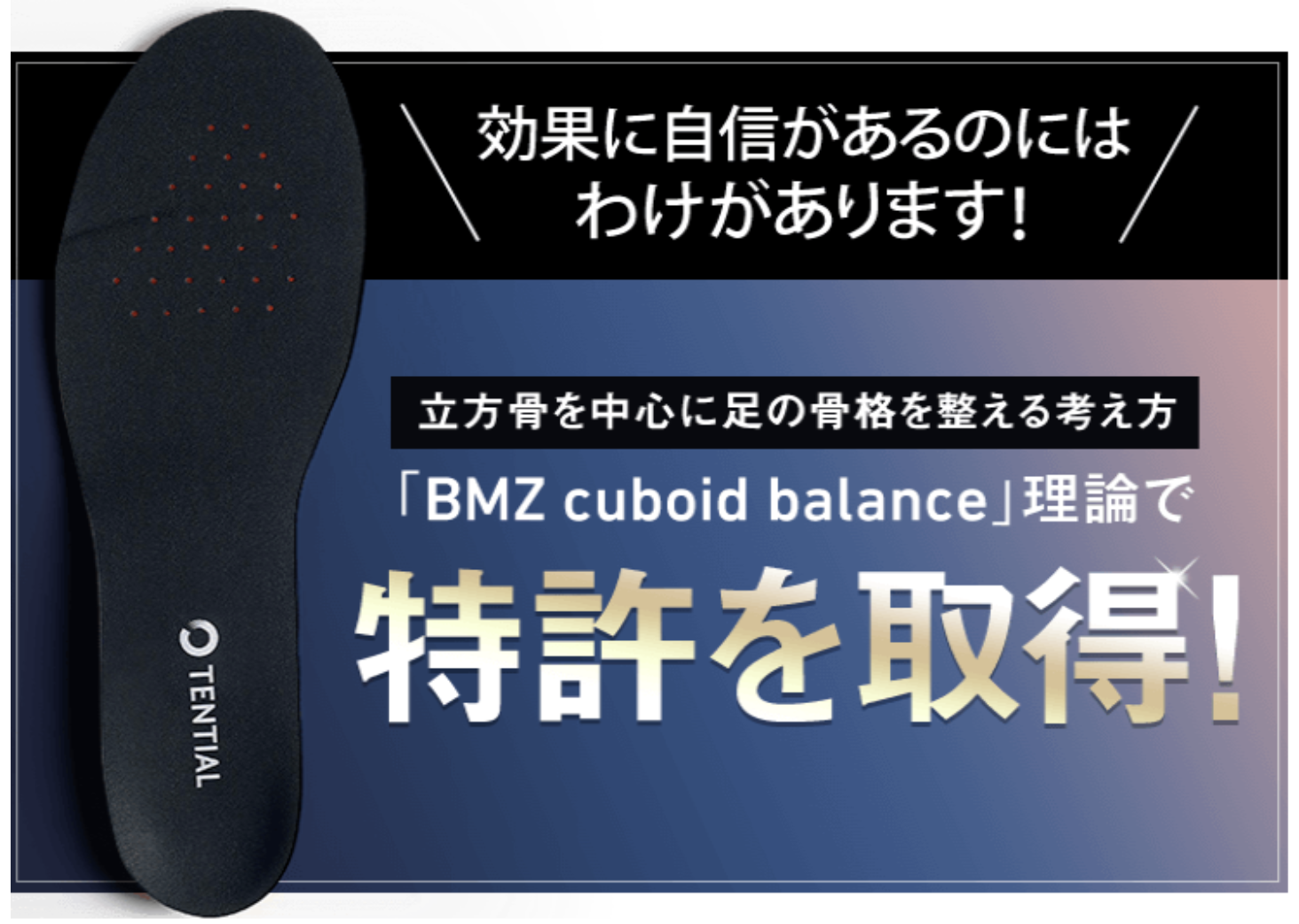 BMZ(ビーエムゼット) 「CCLP理論」モデル インソール カルパワー